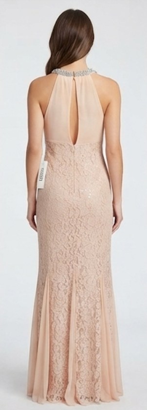 Champagne Blush Lace Halter Evening Gown - Alternate View 1 | Afayi Commerce