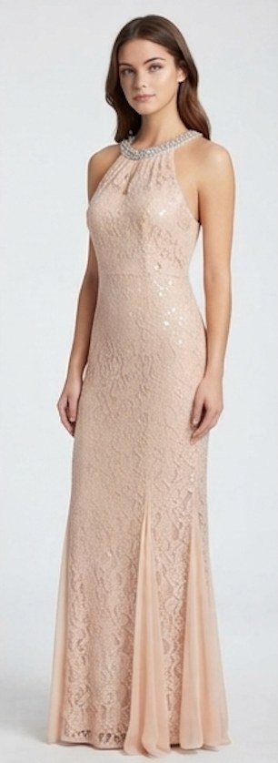 Champagne Blush Lace Halter Evening Gown - Alternate View 3 | Afayi Commerce