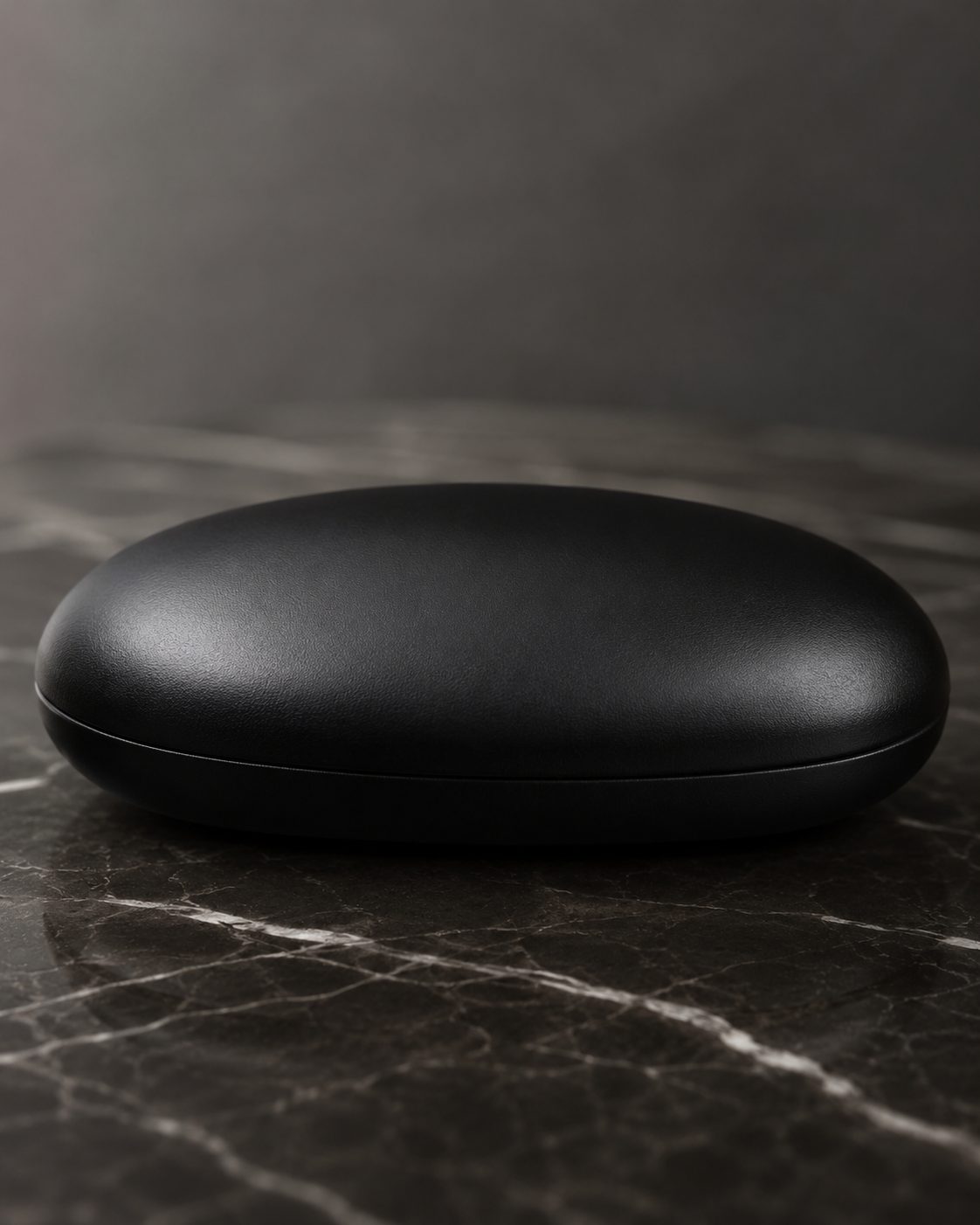 Black Hard Oval Accessory Case - image 1